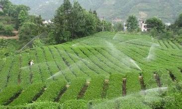云南节水灌溉