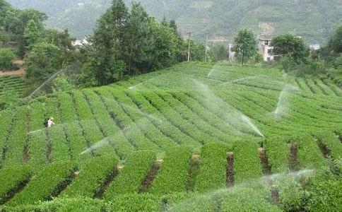 云南节水灌溉工程技术及特点