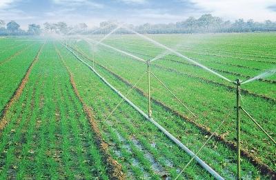 节水灌溉方式