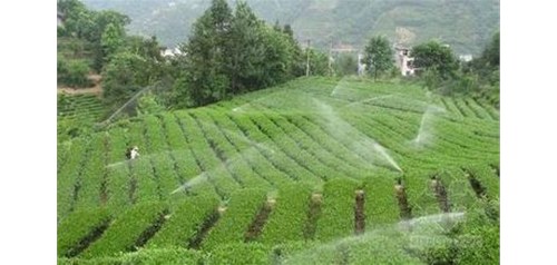 昆明节水灌溉方式有哪些