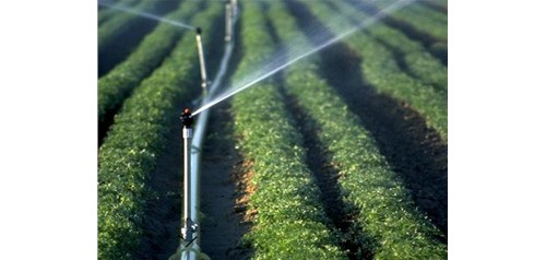 节水灌溉技术有哪些？