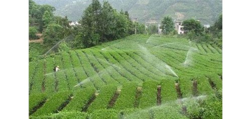 影响节水灌溉方法选择的因素有哪些