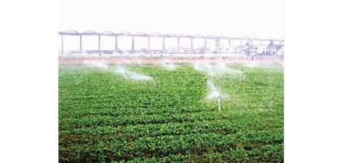 蔬菜灌溉方法有哪些