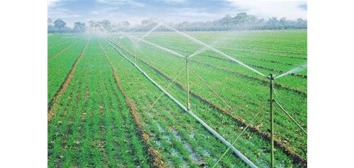 节水灌溉方式有哪些