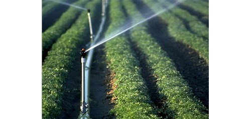 节水灌溉的方式有哪些