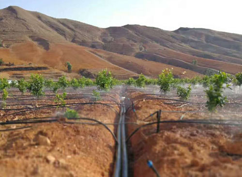 节水灌溉案例